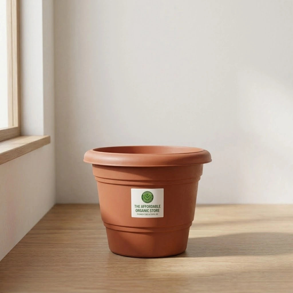 Gardening Pot 10-inch (1pc)