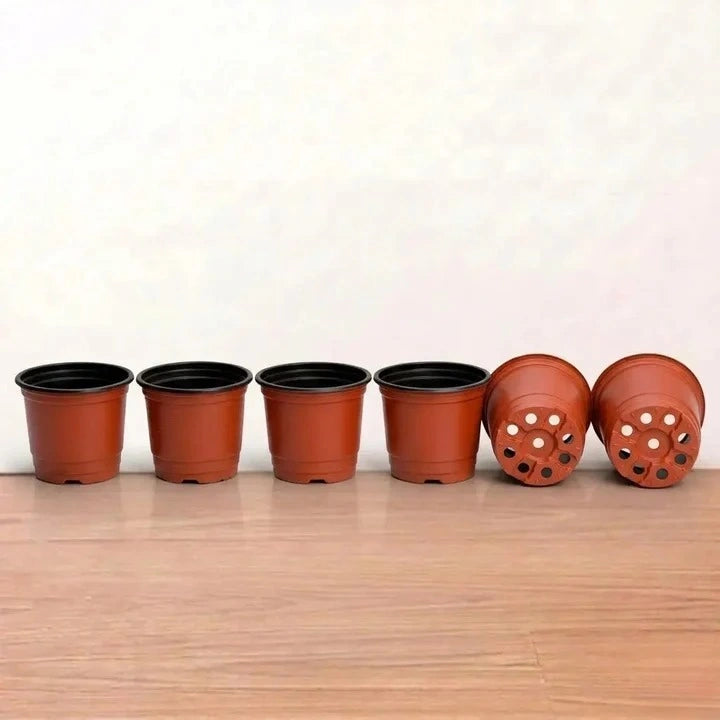 TFP Gardening Pot 3.5inch (1Pc)