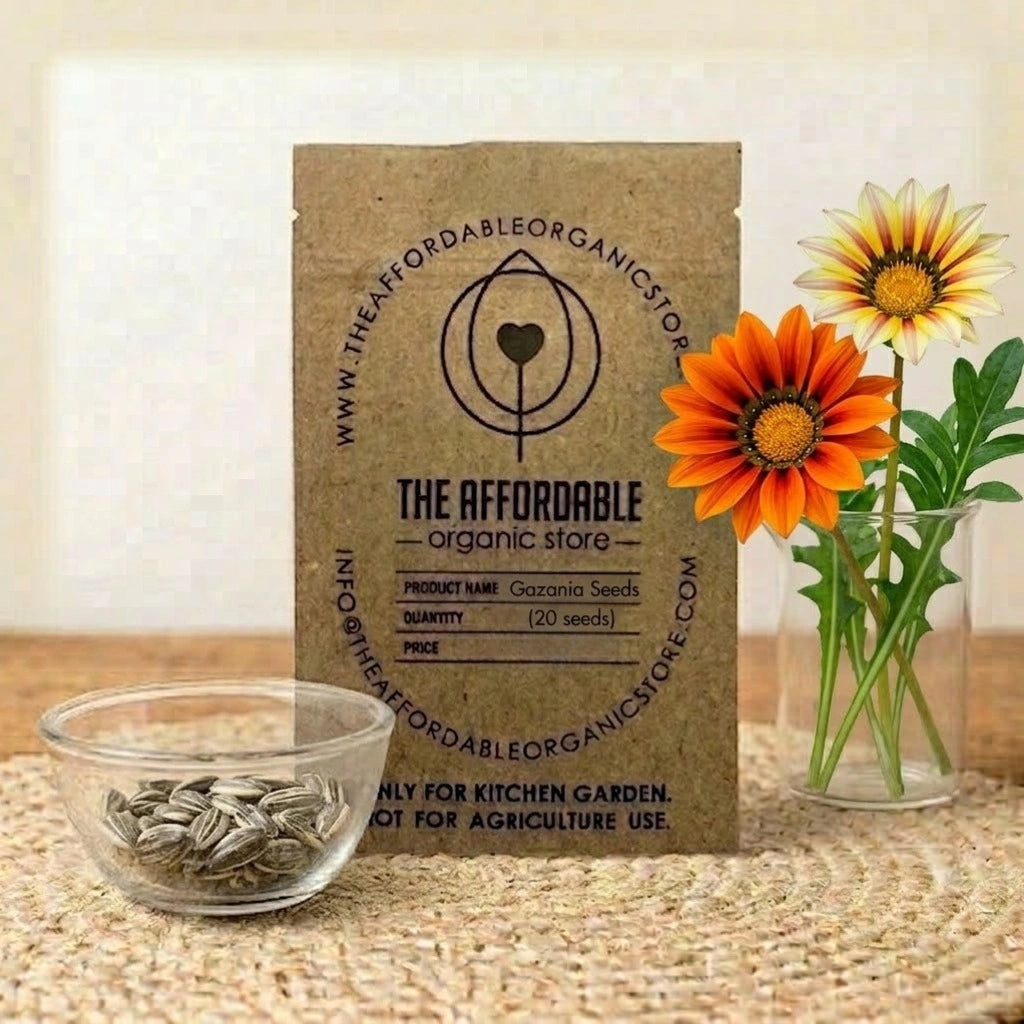 Gazania Seeds (20 seeds)