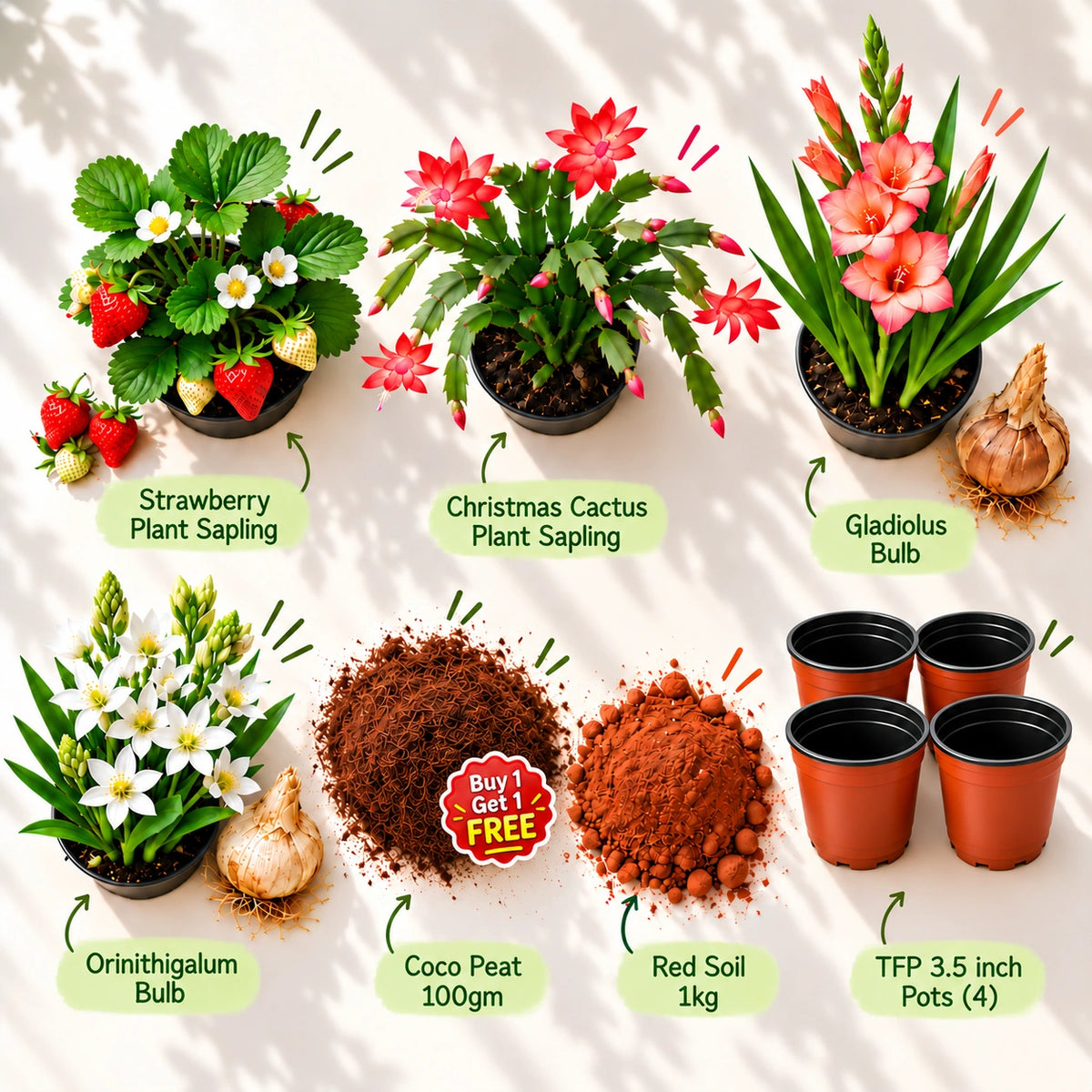 Winter Blooms Starter Set