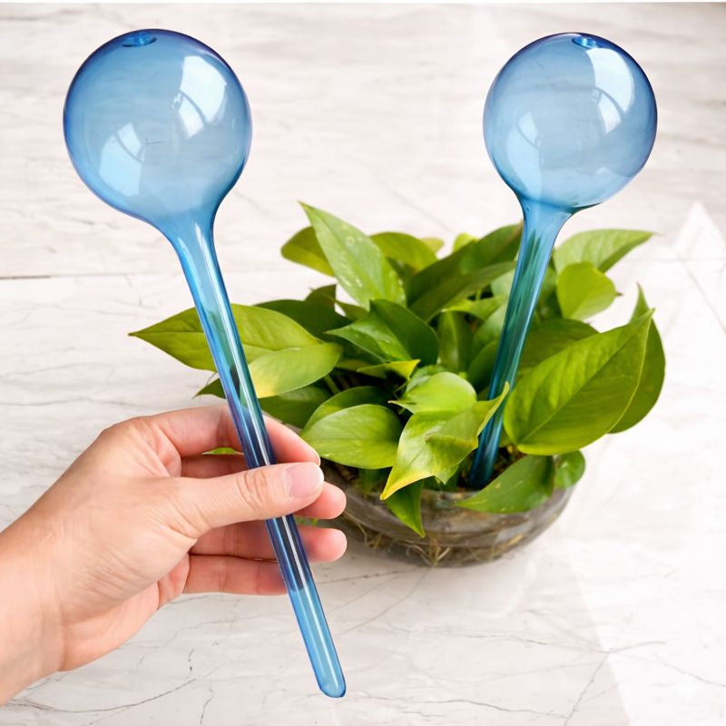 Self watering Globe (1Pc)