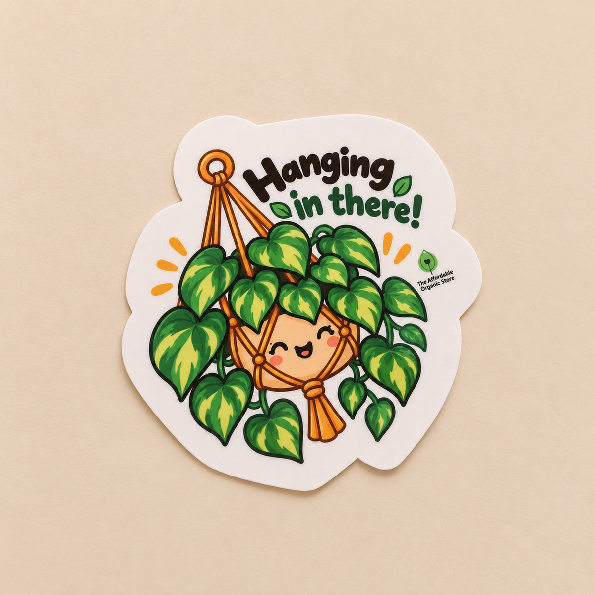 Hang in there Laminated Sticker (1pc)