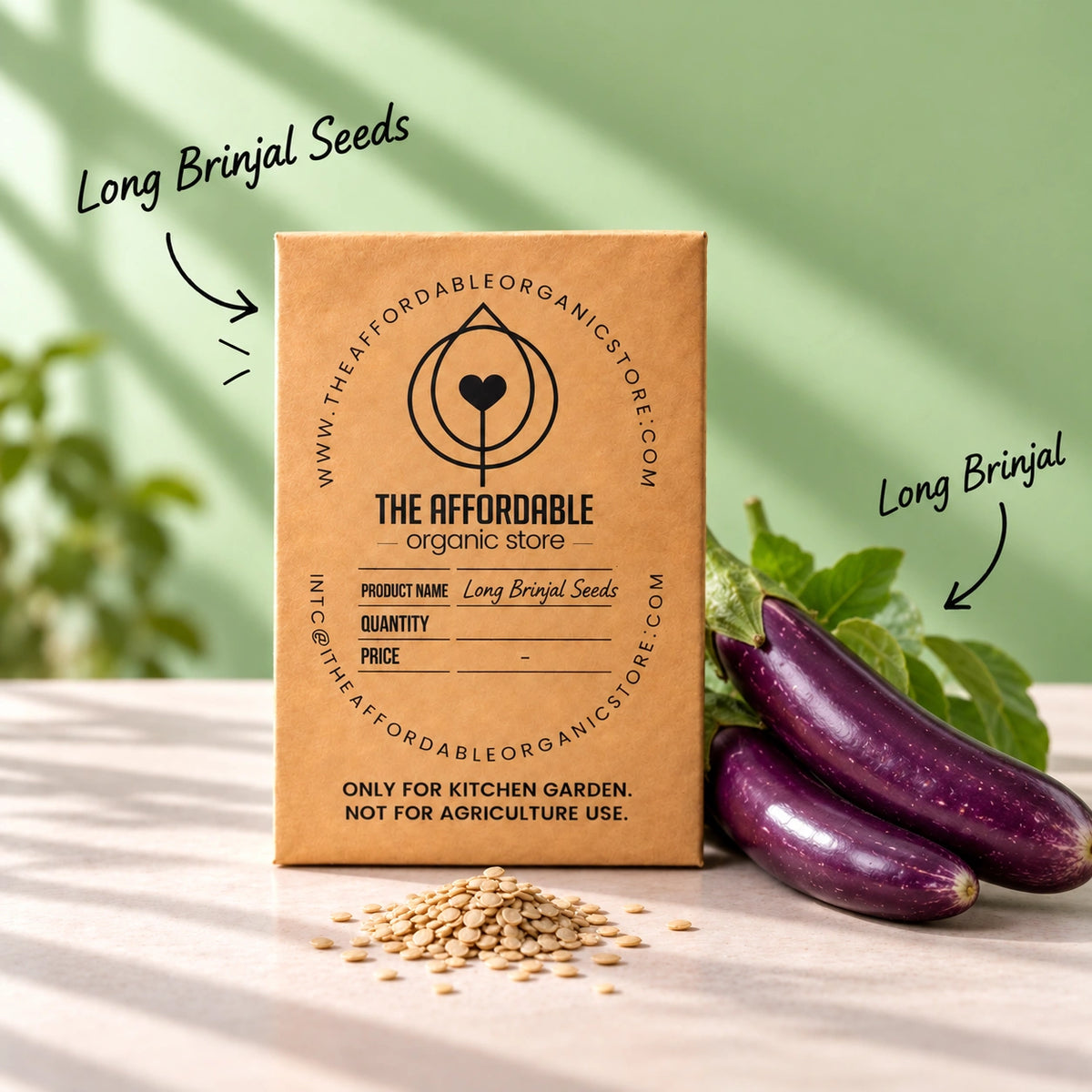 Long Brinjal Seeds (10seeds)