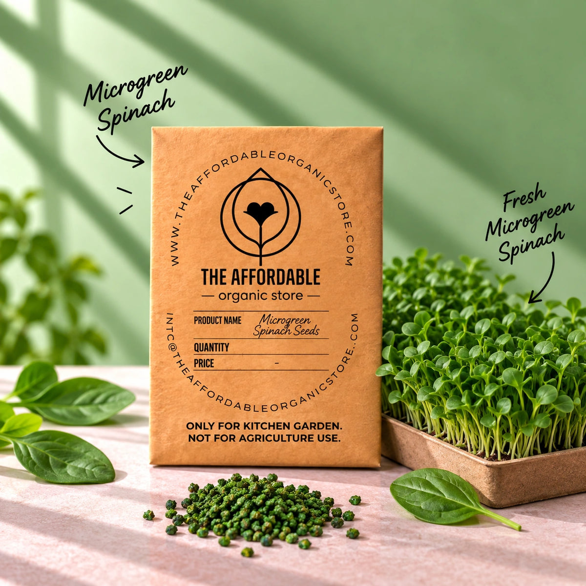 Microgreen Spinach Seeds (10 gms)