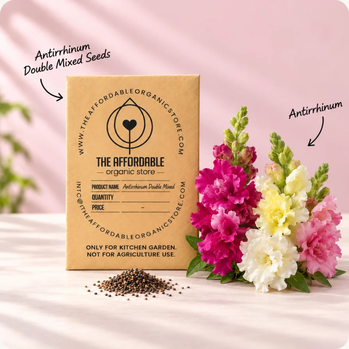 Antirrhinum Double Mixed Seeds (30 seeds)