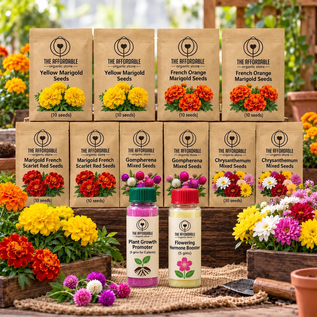 Marigold Festive Pack