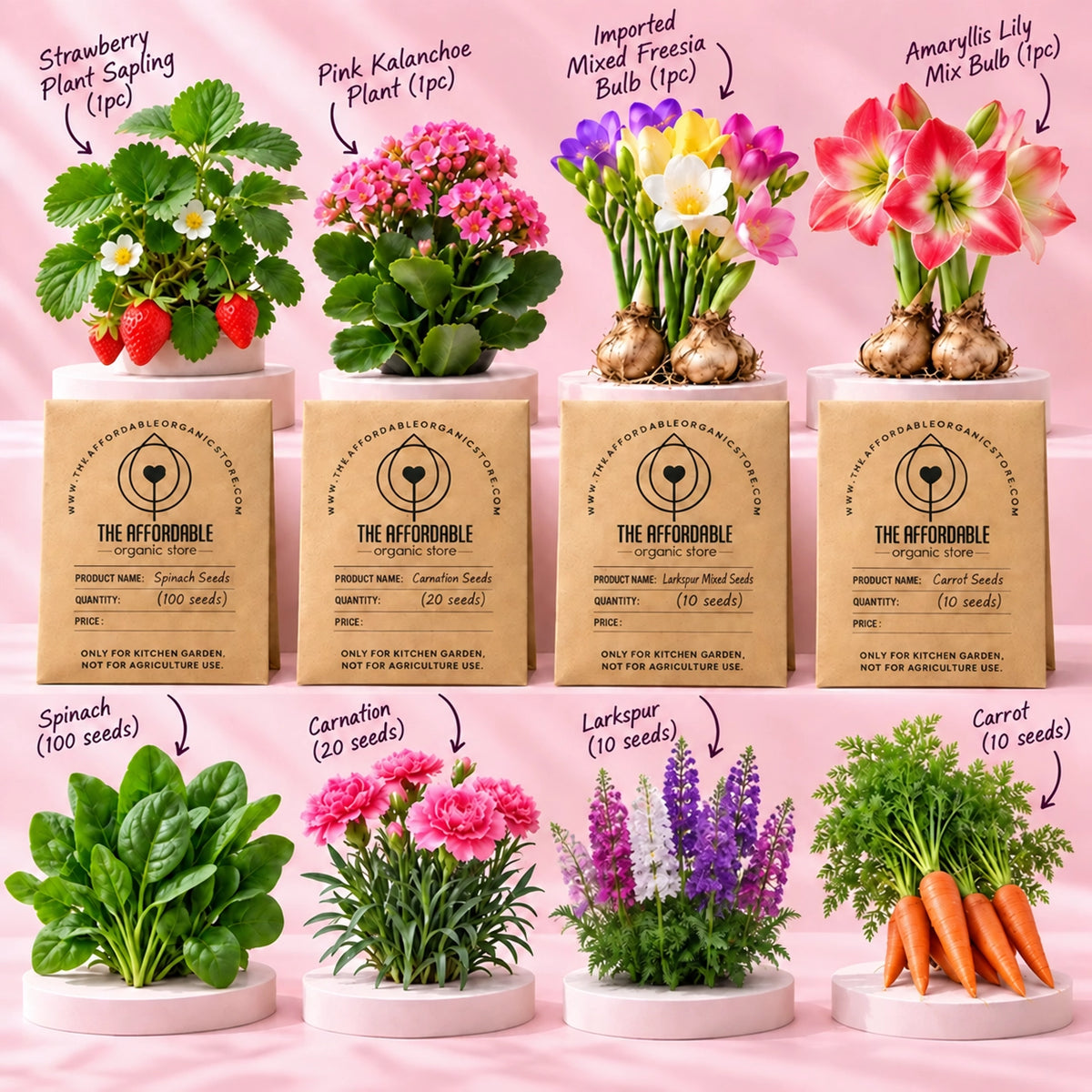 Winter Garden Box