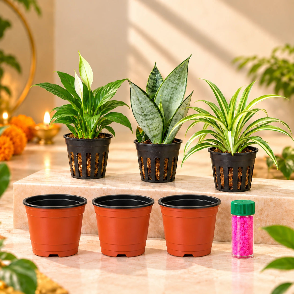 Clean-Air Diwali Trio