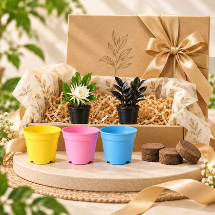 Premium Gifting Set