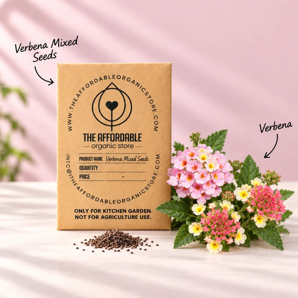 Verbena Mixed Seeds (10 seeds)