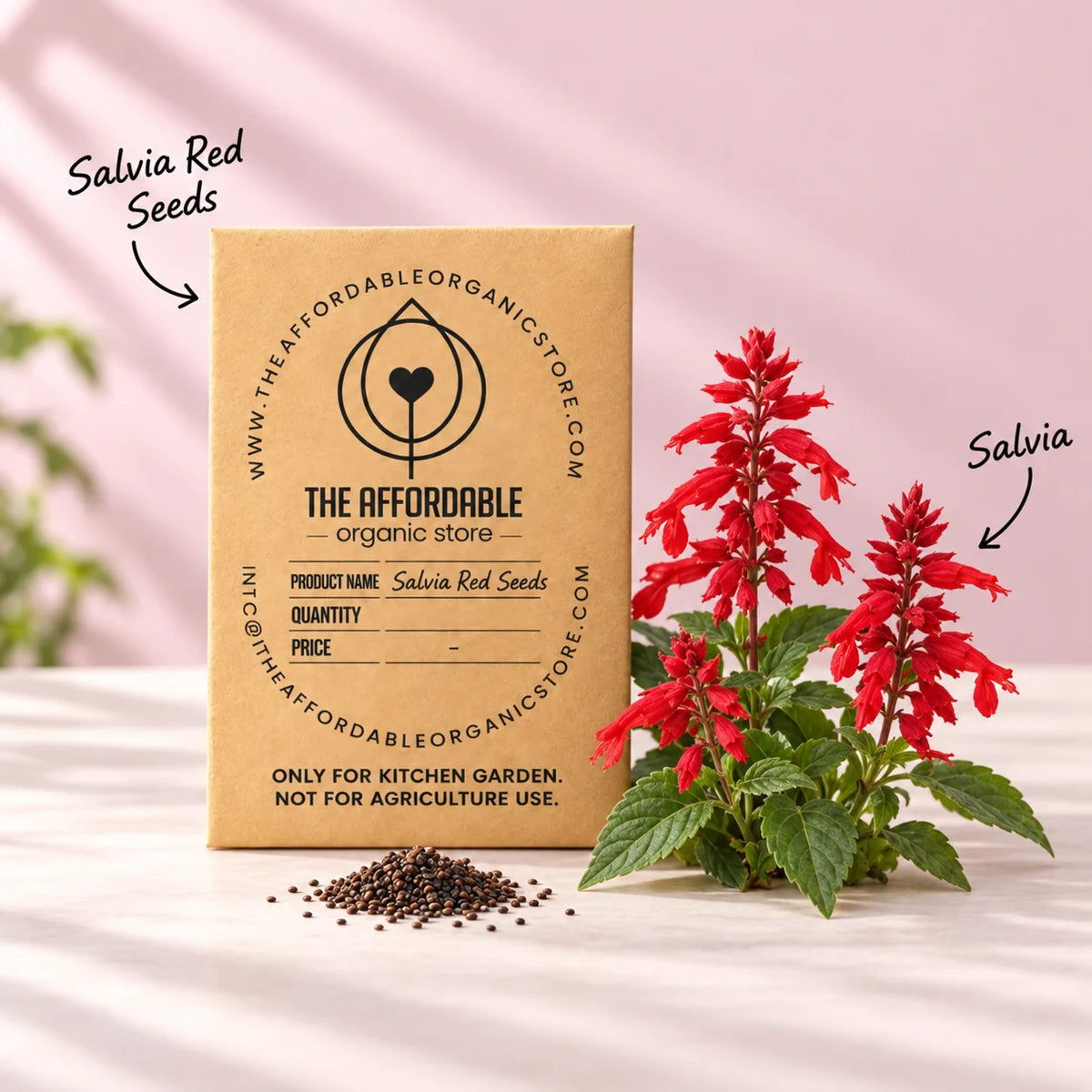 Salvia Red Seeds (10 seeds)