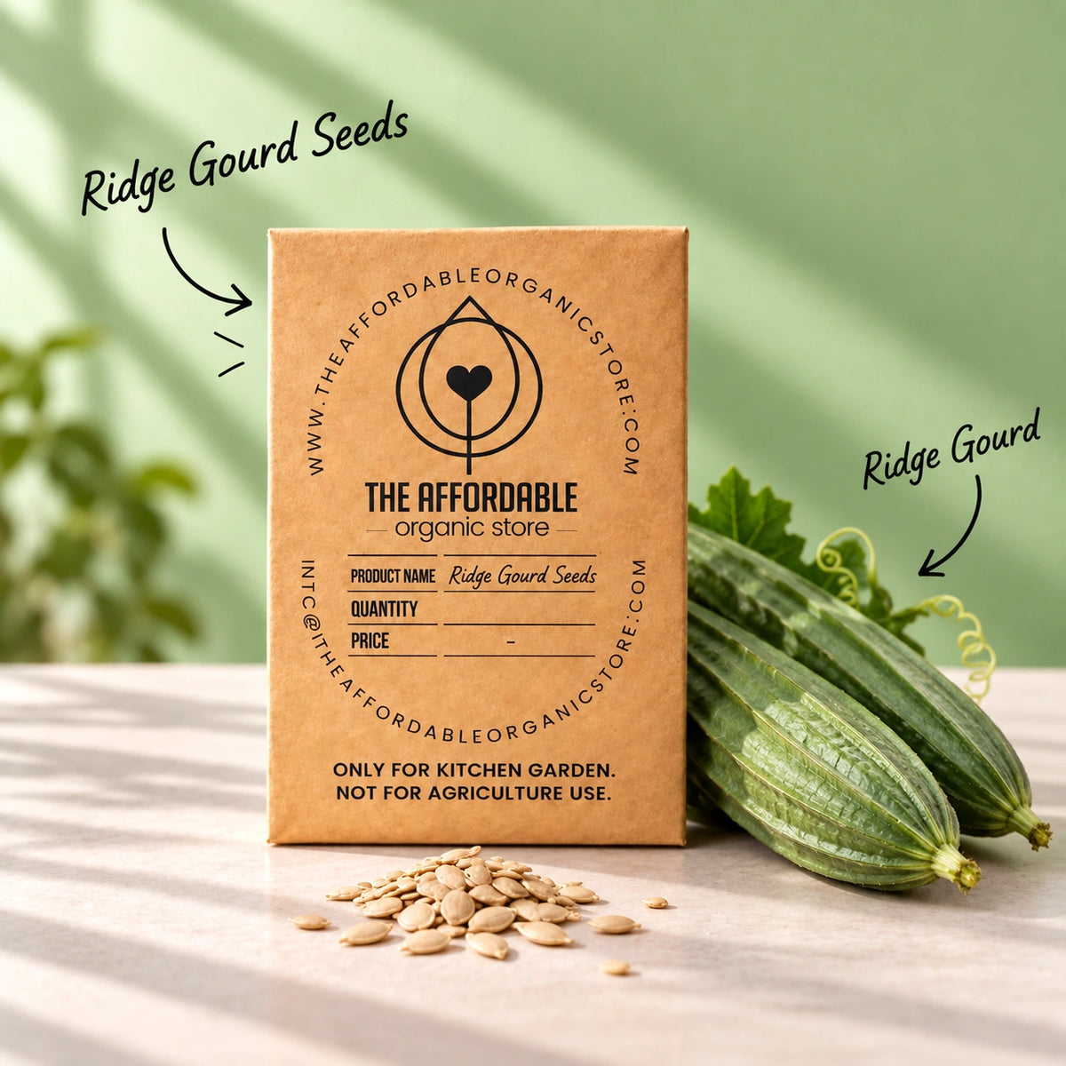 Ridge Gourd Seeds (5 Seeds)