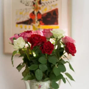 Rose Plant Sapling (1pc)