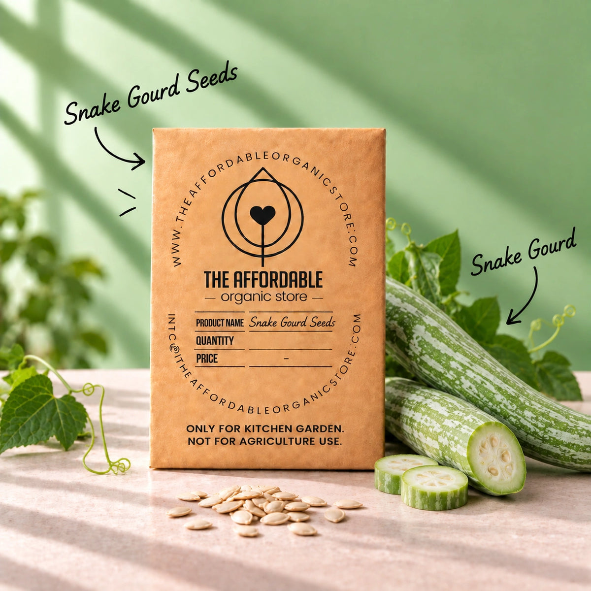 Snake Gourd Seeds (5 Seeds)