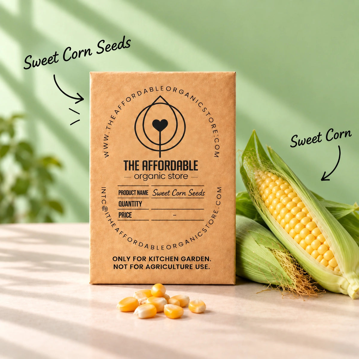 Sweet Corn Seeds (4 seeds)