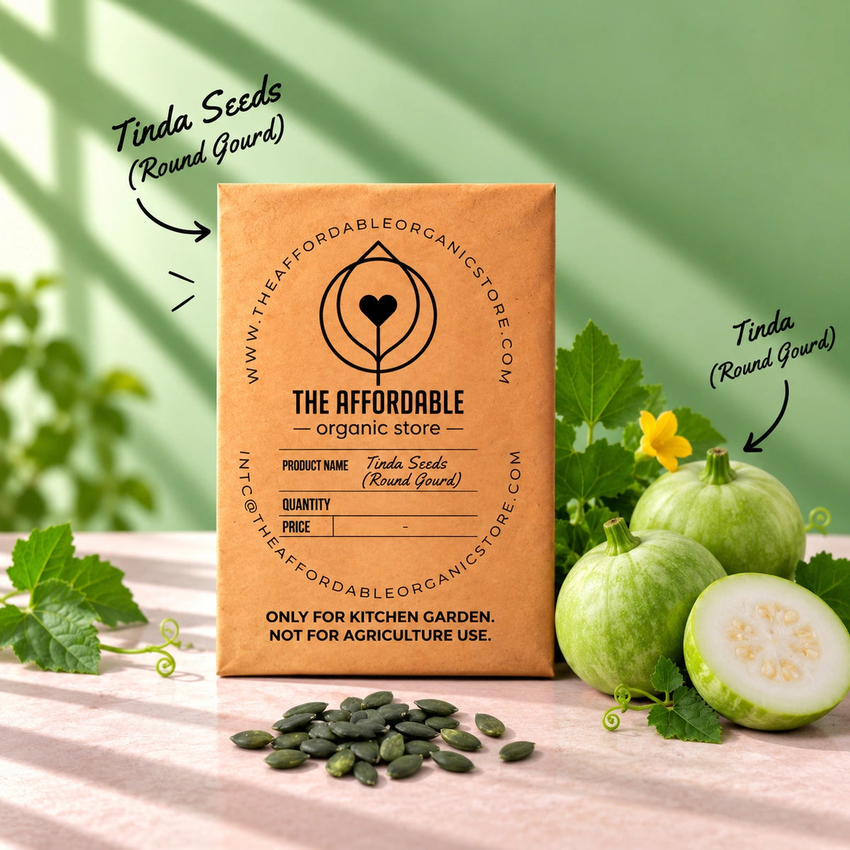 Tinda Seeds (4 seeds) (Round Gourd)