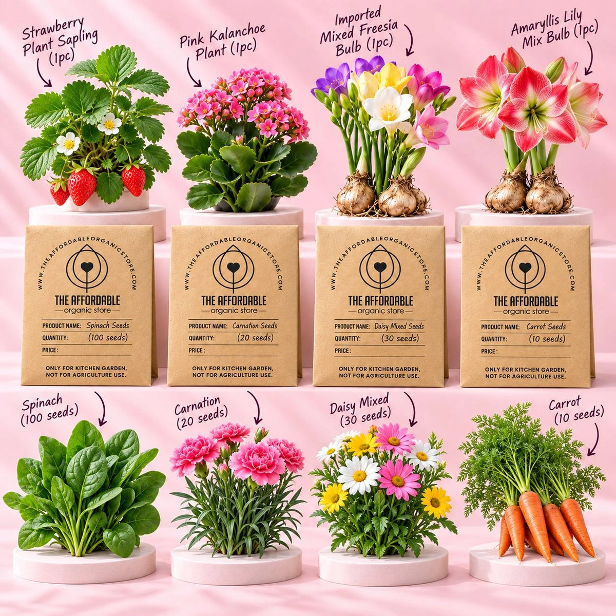 Winter Garden Box