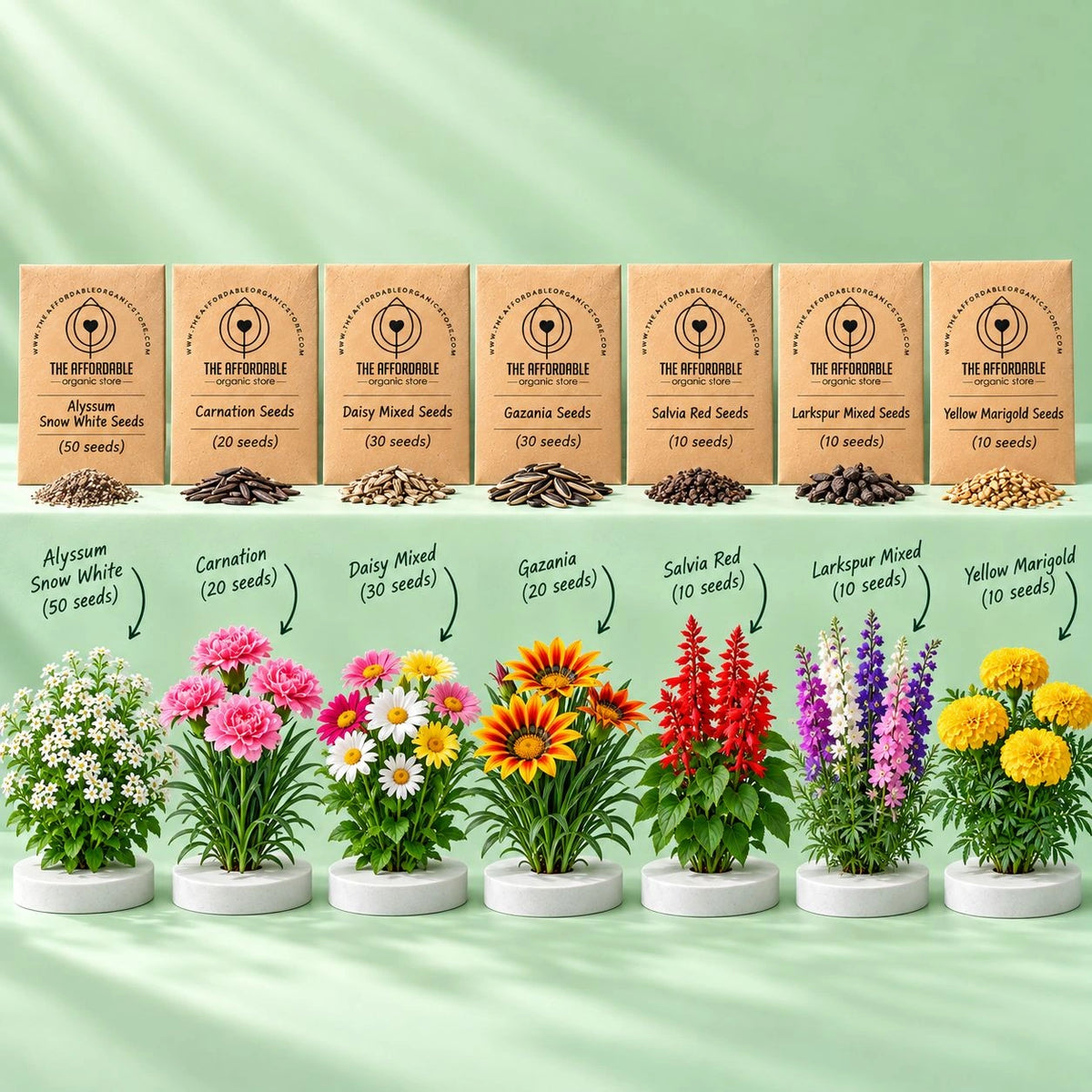 The Winter Flower Garden