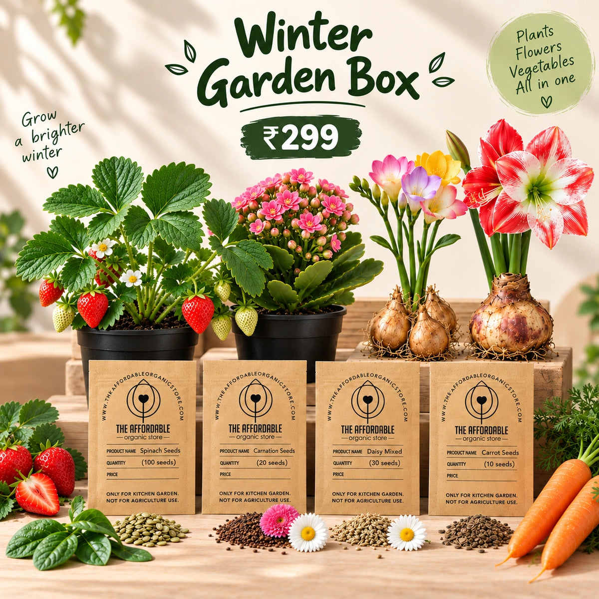 Winter Garden Box
