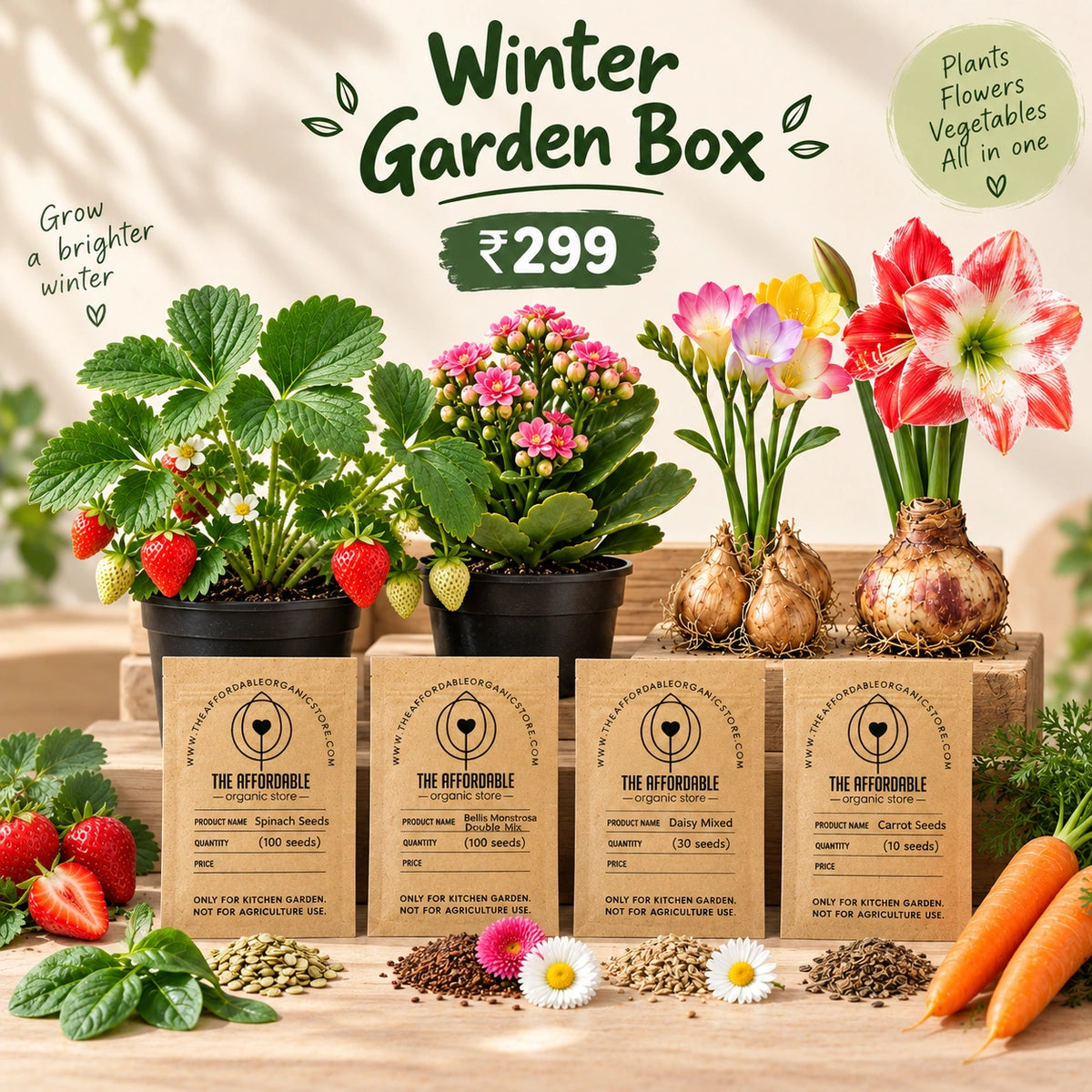 Winter Garden Box