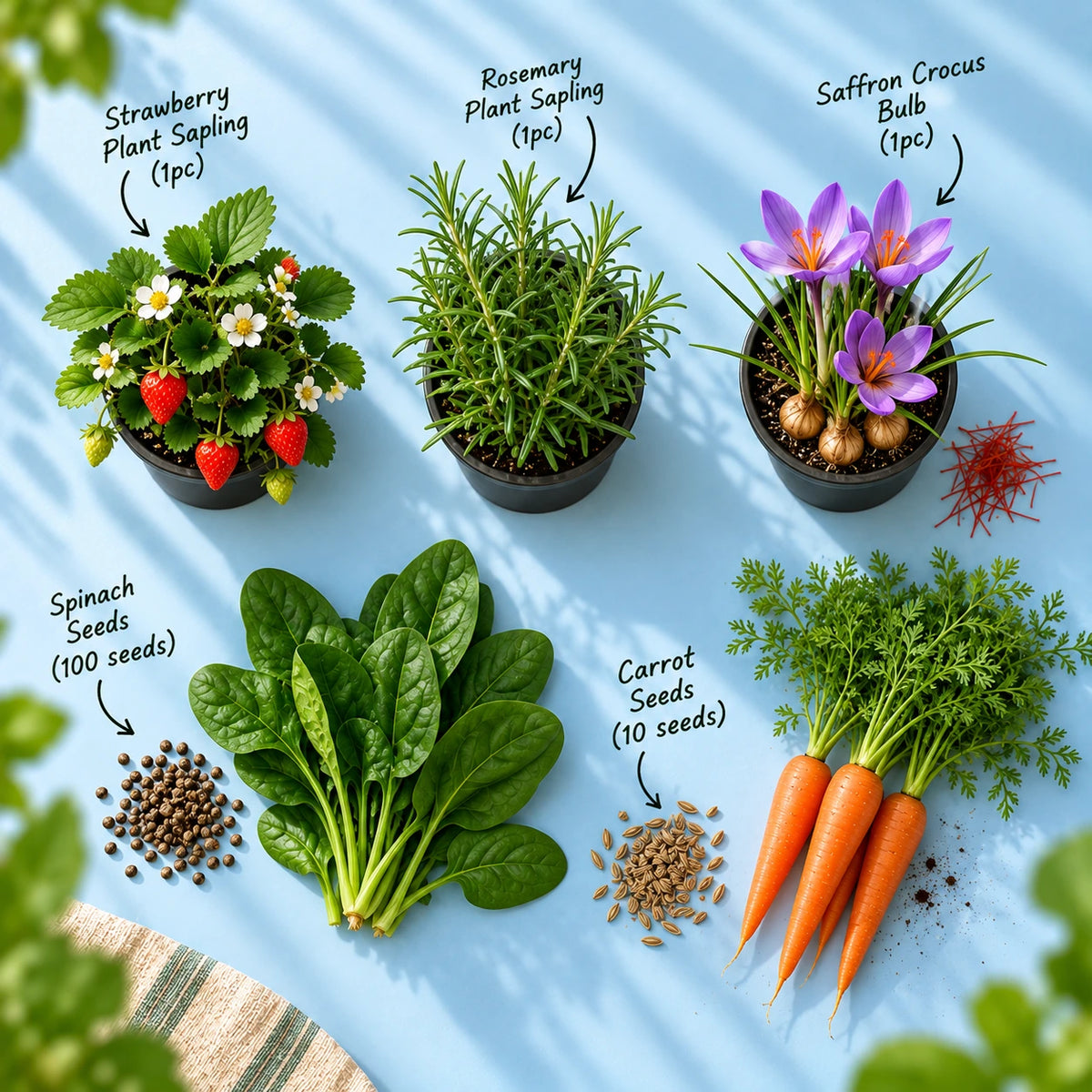 Winter Kitchen Garden Kit