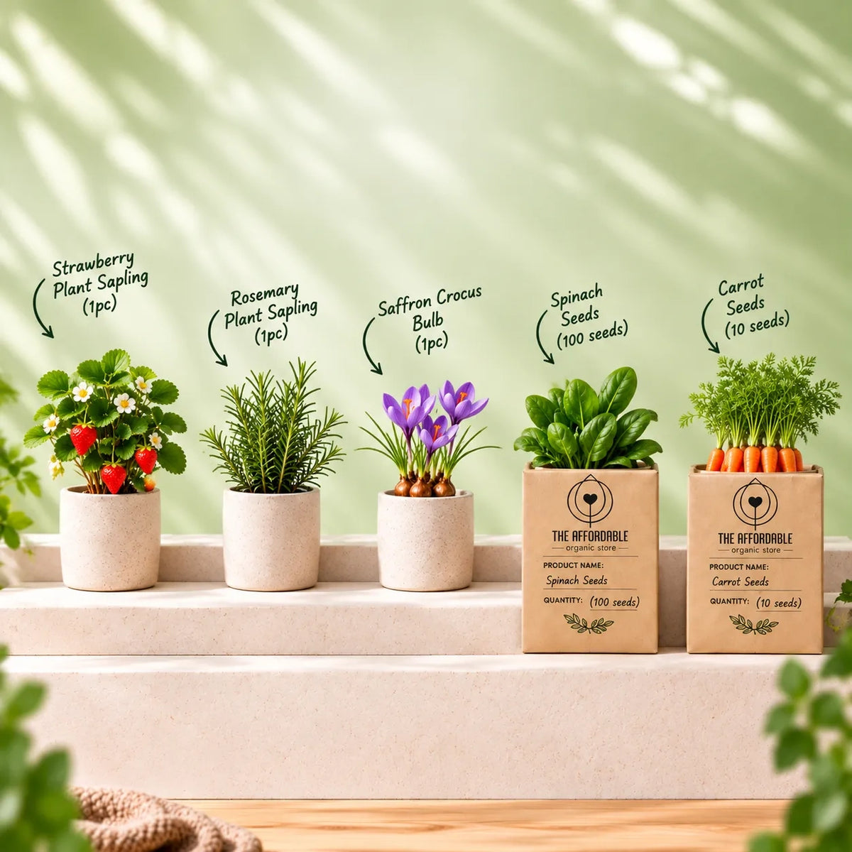 Winter Kitchen Garden Kit