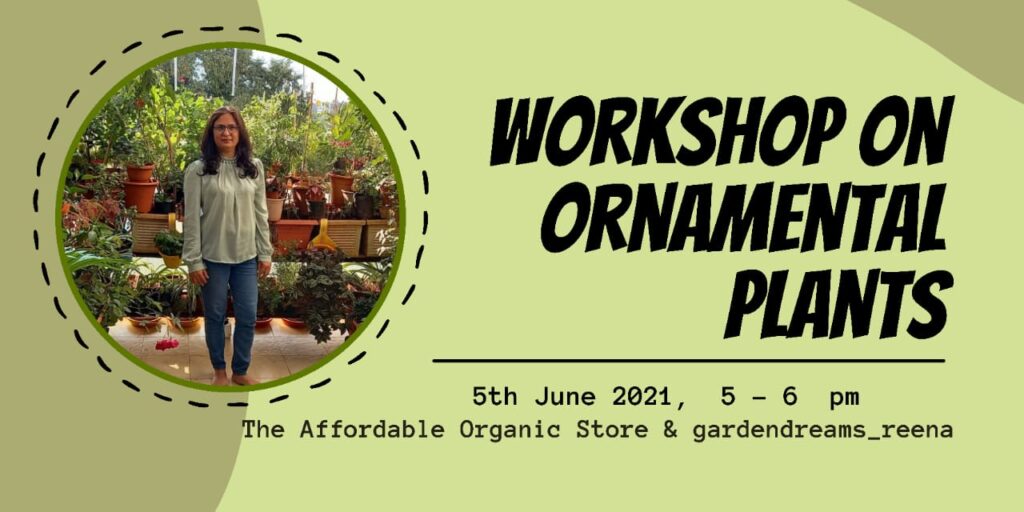 Workshop on ornamental plants
