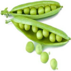 Two open green peapods with several peas inside are kept against a white background