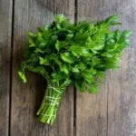 Several green coriander leaves are tied in a bunch kept on a wooden table