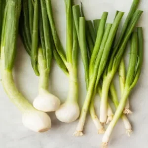 many white spring onions with green stalks against a white background
