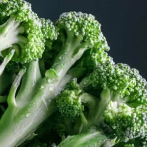 Many olive green branches of a broccoli against a black background