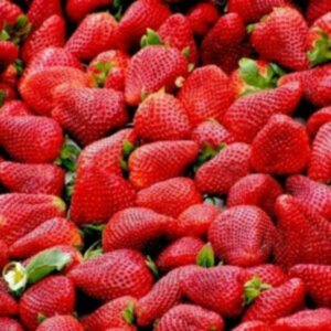 This is an image multiple small red Strawberry fruits with small green leaves.