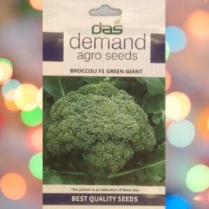 Packet of demand agro broccoli F1 green giant seeds kept against a colourful light background