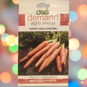 A packet of Demand Agro Carrot Early Nineteen Seeds kept against a colourful light background