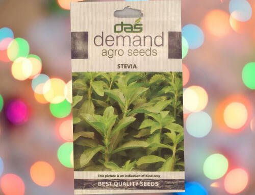 A blue white packet of Demand Agro Stevia Seeds kept against a colourful light background