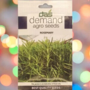 A packet of Demand Agro Rosemary Seeds kept against a colorful background.