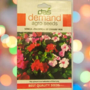 A packet of Demand Agro Vinca Dwarf Pacifica Mix Seeds kept against a colourful light background