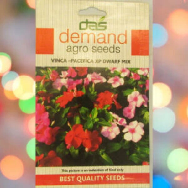 A packet of Demand Agro Vinca Dwarf Pacifica Mix Seeds kept against a colourful light background