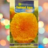 A packet of Demand Agro Sunflower Sungold kept against a colorful background.