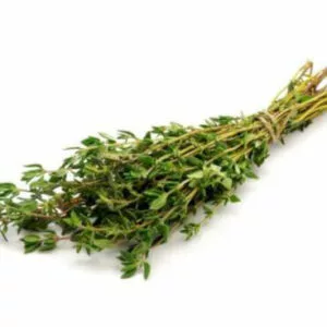 Finest thyme herbs kept against a light background