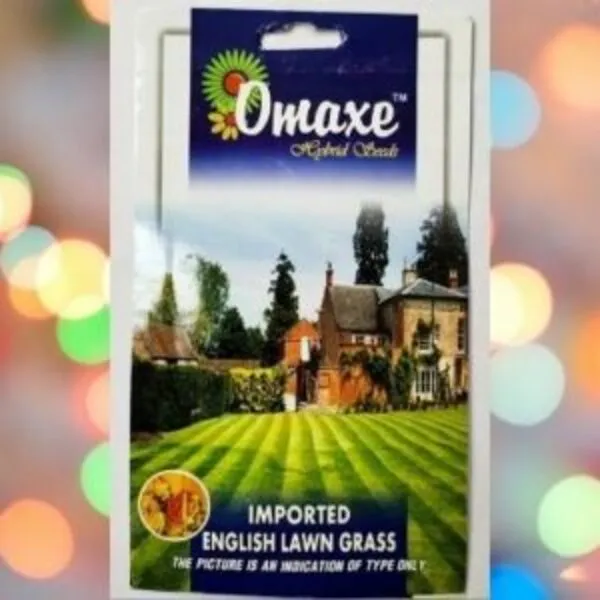 This is an image of a packet of Omaxe Imported English Lawn Grass kept against colorful background.