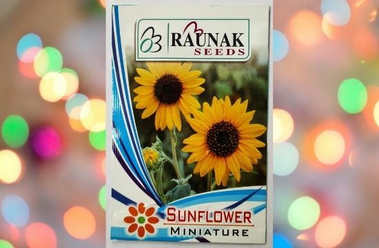 A packet of Raunak Seeds Sunflower Miniature in a colorful background