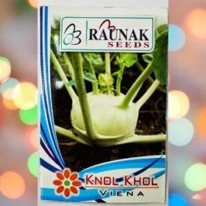 A packet of Raunak seeds Knol Khol seeds kept against a colourful light background