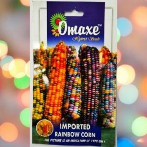 A packet of Omaxe imported rainbow corn seeds against a colourful light background
