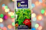 A pack of Omaxe Stevia Sweet Leaves Seeds with multicolor flashlights in the background