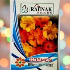 A packet of Raunak Seeds Cosmos Bright Light Mixed Seeds kept against a colorful background.