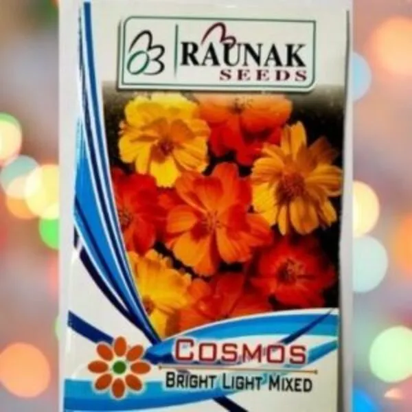 A packet of Raunak Seeds Cosmos Bright Light Mixed Seeds kept against a colorful background.