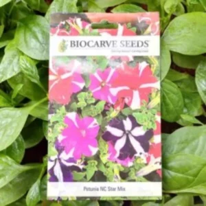A packet of Biocarve Petunia NC Star Mix Seeds kept against a green leafy background.