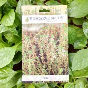 This is an image of a packet of Biocarve Thyme Seeds kept against a green leafy background.