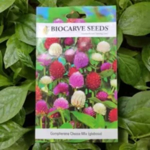 A packet of Biocarve Gompherena Choice Mix Seeds kept against a green leafy background.